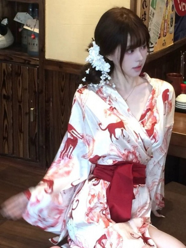 New Chinese Style Sleepwear Ha - Photography Lighting Home recension och pris