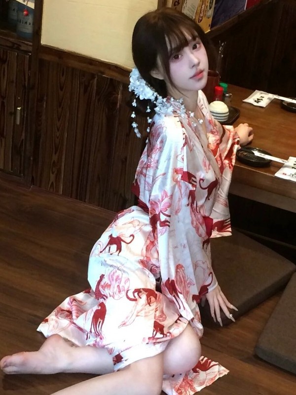 New Chinese Style Sleepwear Ha - Photography Lighting Home recension och pris